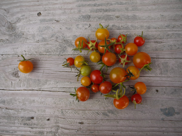 Cherry tomatoes from my garden