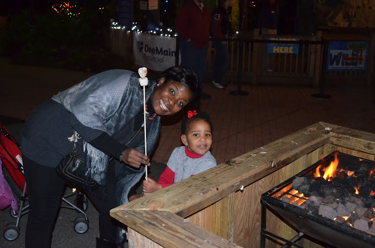 Lights Before Christmas at the Riverbanks Zoo