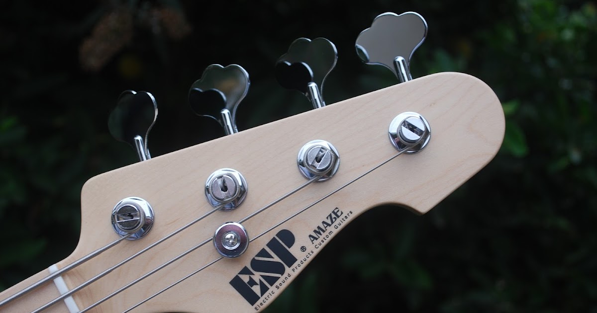 2014 ESP Amaze AS Bass Review - Rex and the Bass