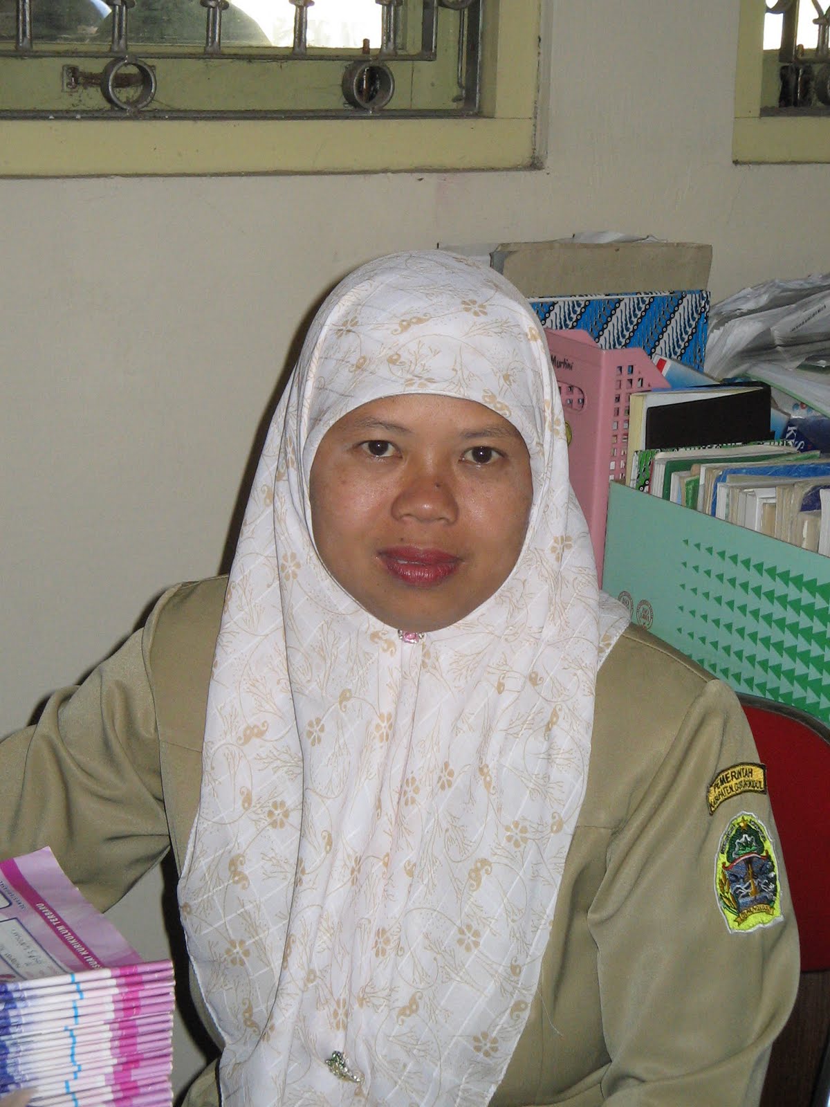 Mengajar IPS