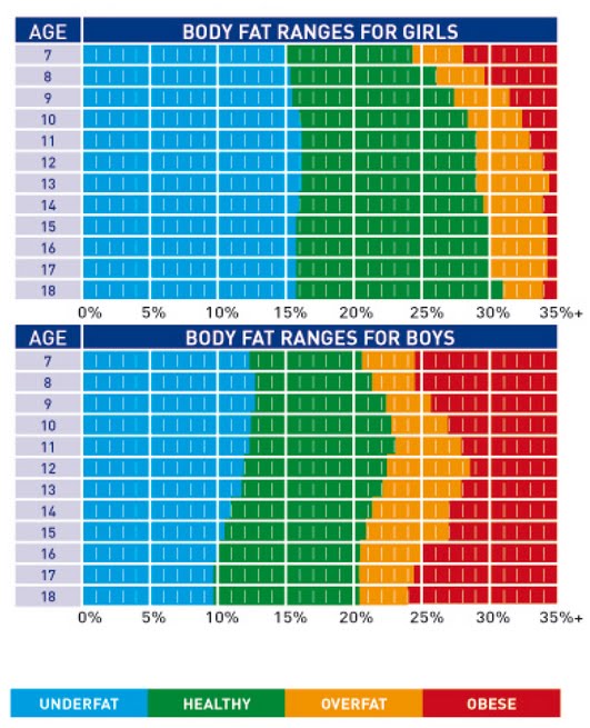 Tanita Body Fat Chart