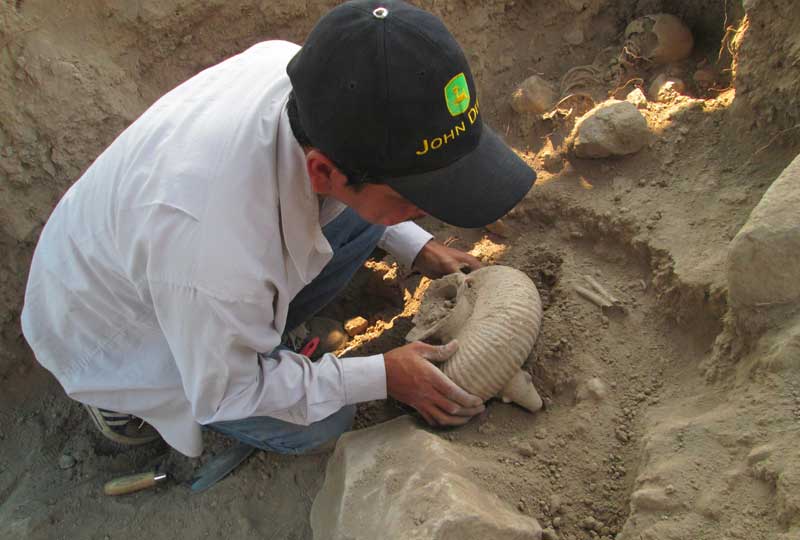 ABAK’ 2013 TUMBA DE TIRO EN COLIMA ABAK' 2013