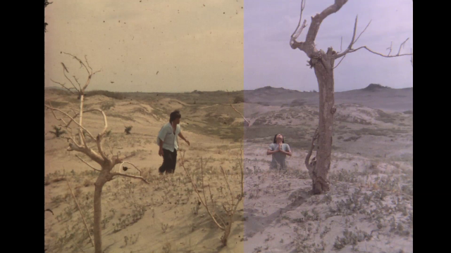 The 1982 film starring Nora