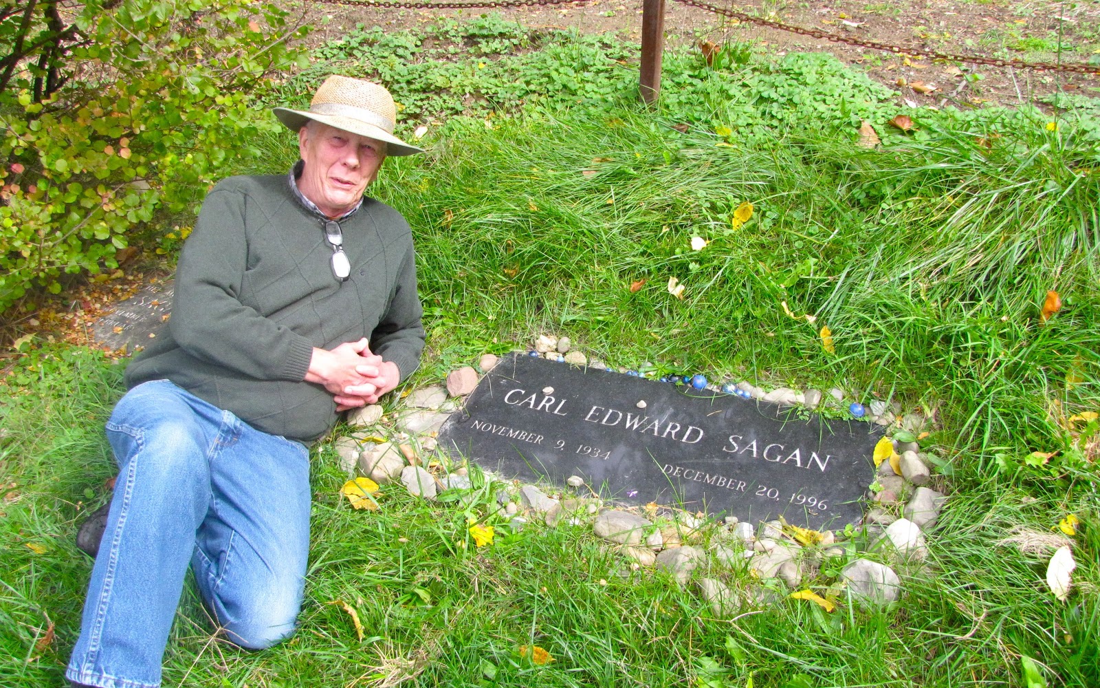 Blogging a Dead Horse New York State of Mind