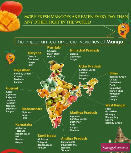 INDIA 2015 The fruit king is back, almost