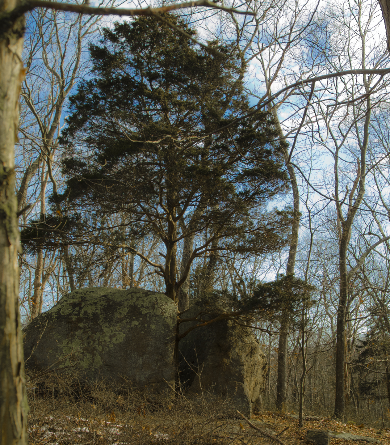 Connecticut Explorer The Unusual Trail of Guilford Westwoods