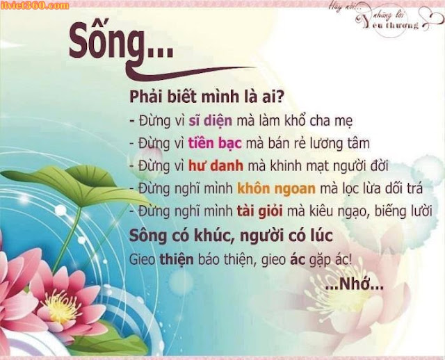 Hình ảnh ý nghĩa. Ý nghĩa cuộc sống - Danh ngôn qua hình ảnh đẹp