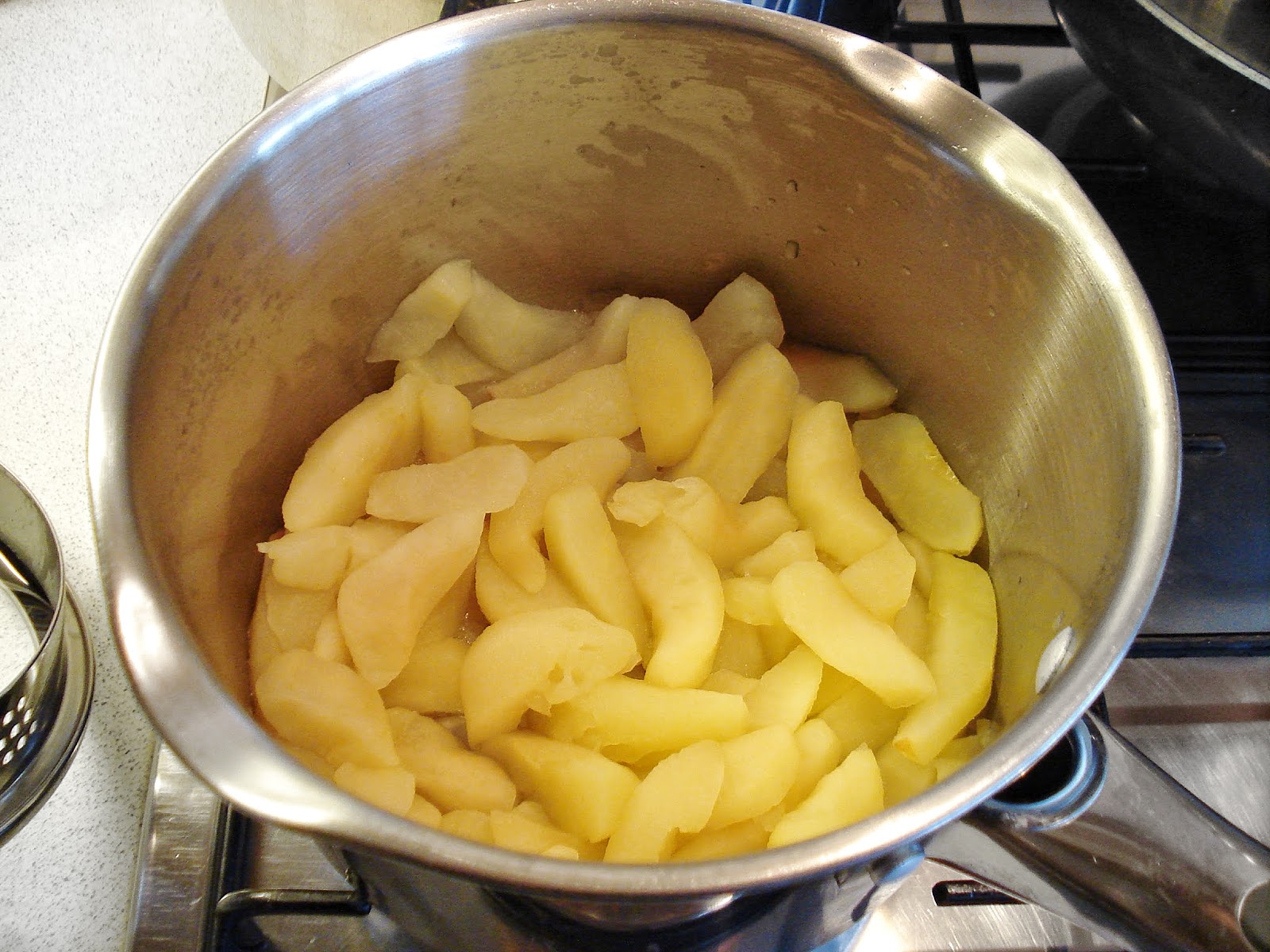 Apple Sauce GF SCD Gluten Free SCD and Veggie