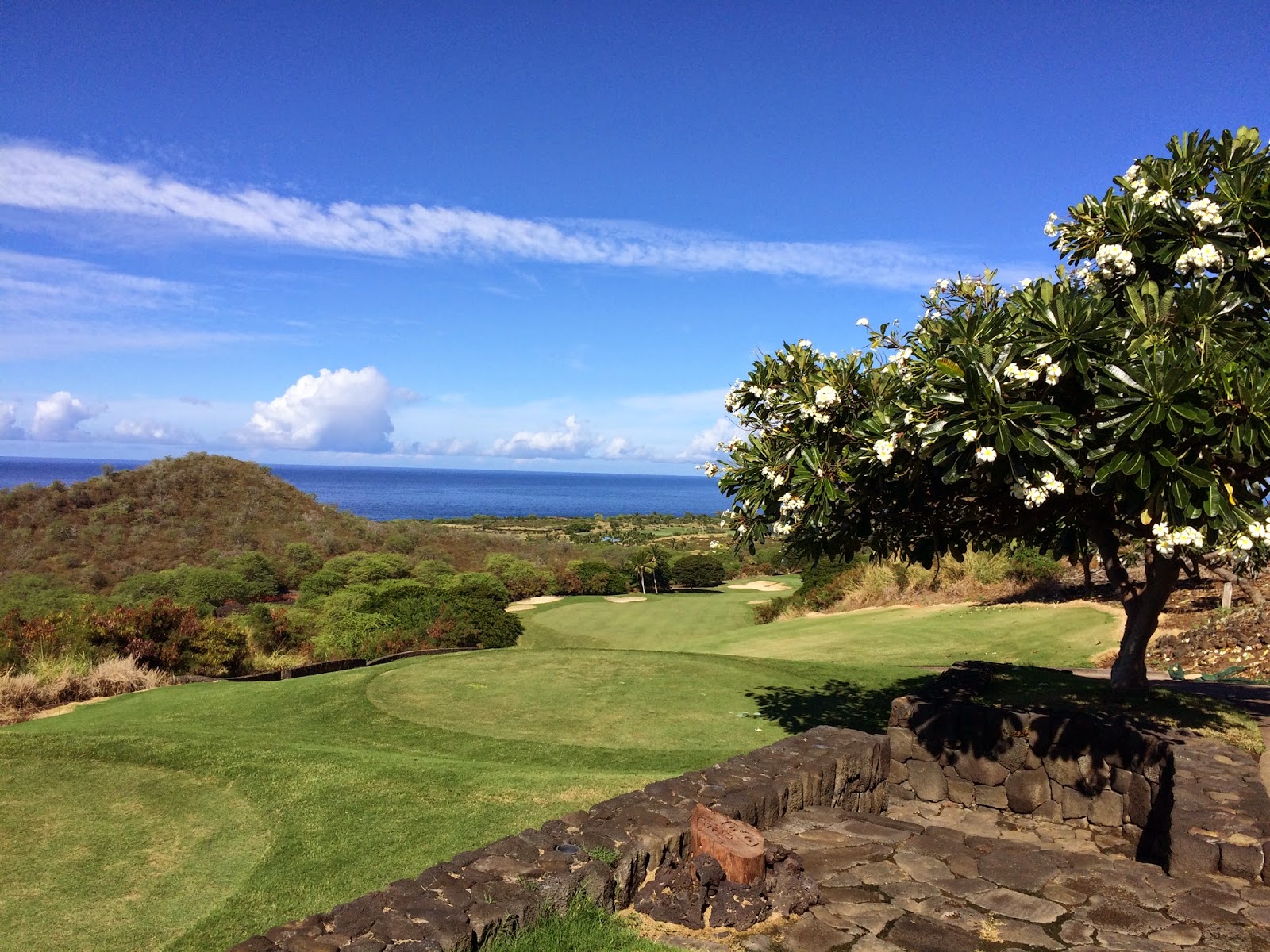 TASTE OF HAWAII HOKULIA GOLF CLUB