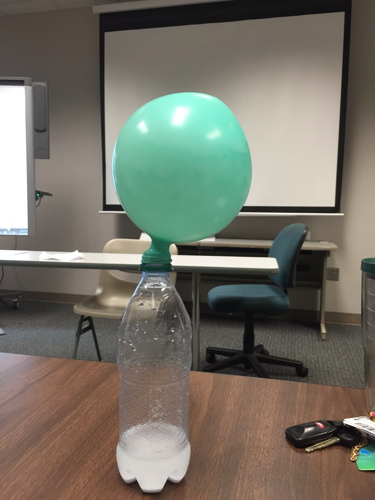 Science Notebooks Physical and Chemical Change (Balloon TestBaking