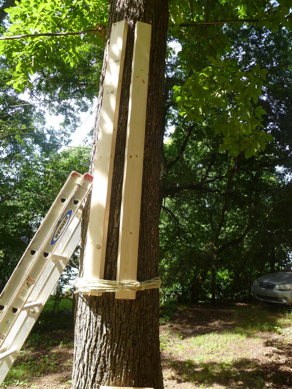 How to Make a Climbing Pegboard for Less than 30 Pro Bodyweight Workouts