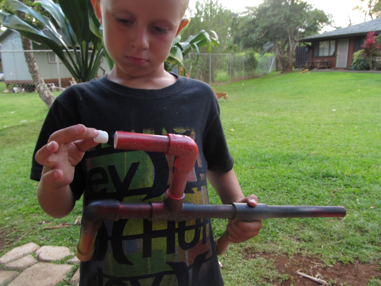 A Lott Of Ideas { marshmallow gun }