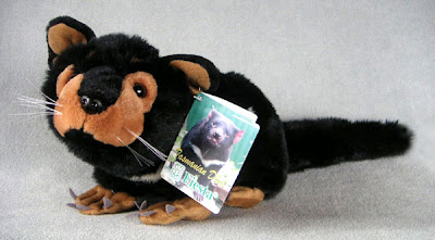 Spider Bites Tasmania