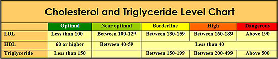 be healthy by plants and common sense it s possible no triglyceride hdl ratio chart