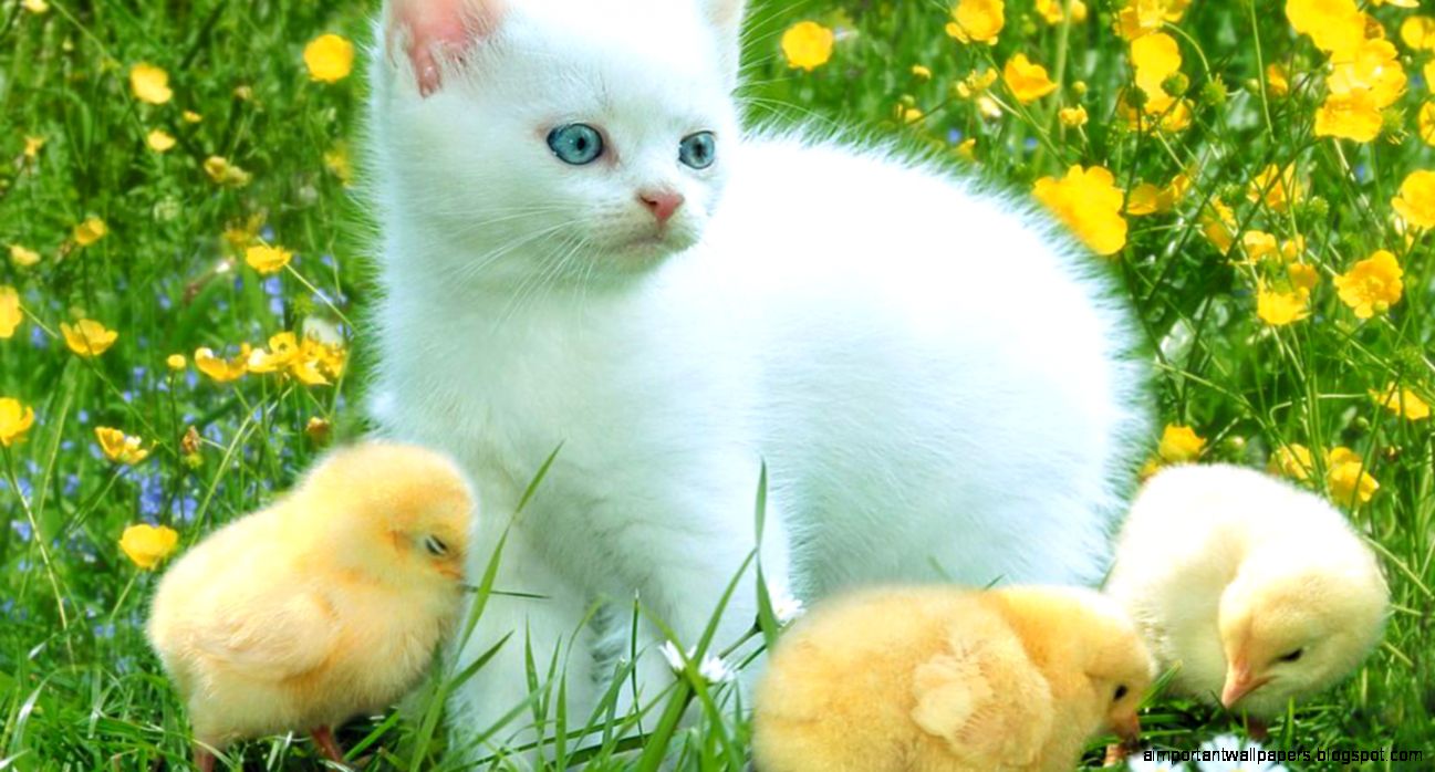 Games free download hd wallpaper Games free download hd wallpaper