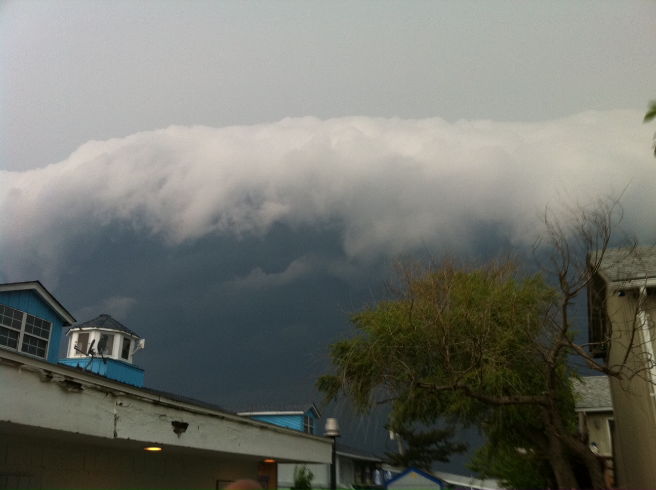 AKAHarry's Moblog! Cherry Grove, Fire Island, NY