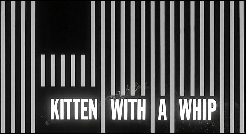 DREAMS ARE WHAT LE CINEMA IS FOR...: KITTEN WITH A WHIP 1964
