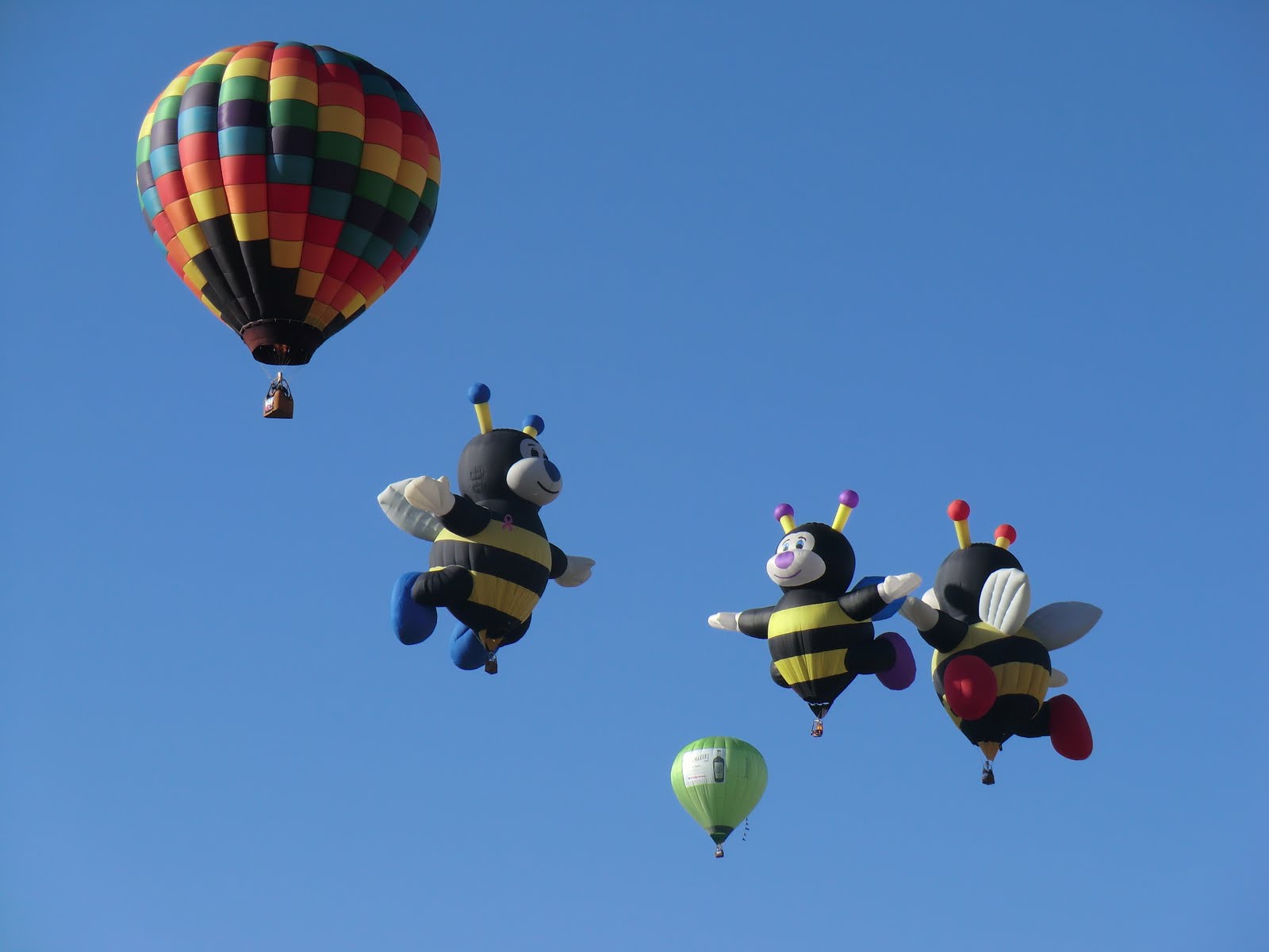 bees balloon