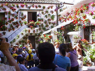 Patios Cordobeses