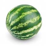fresh_watermelon_suppliers