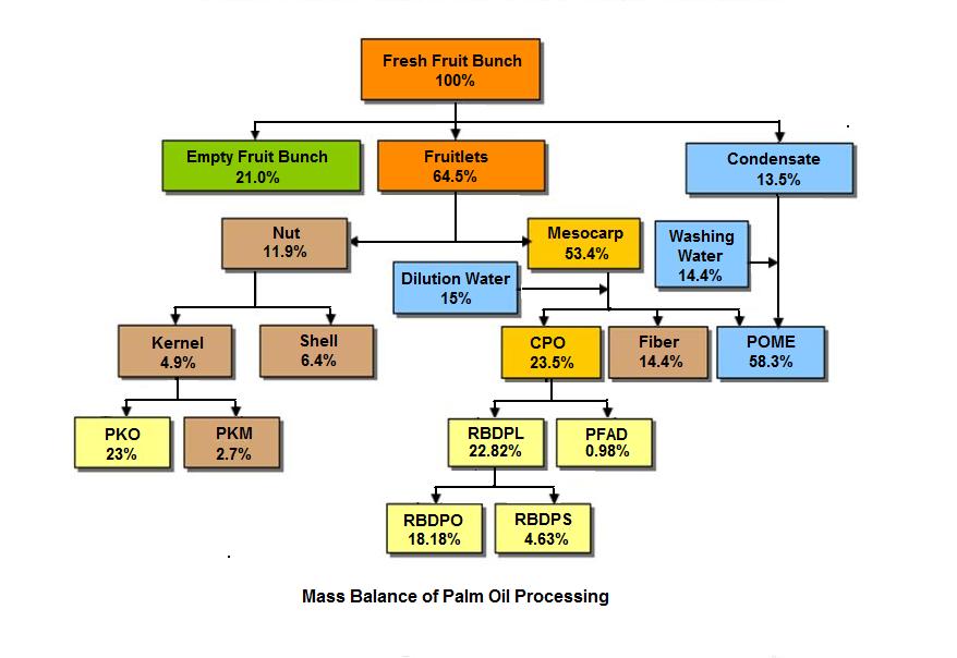 THE OIL PALM PLANTERS Approach and Strategy for Developing Oil Palm