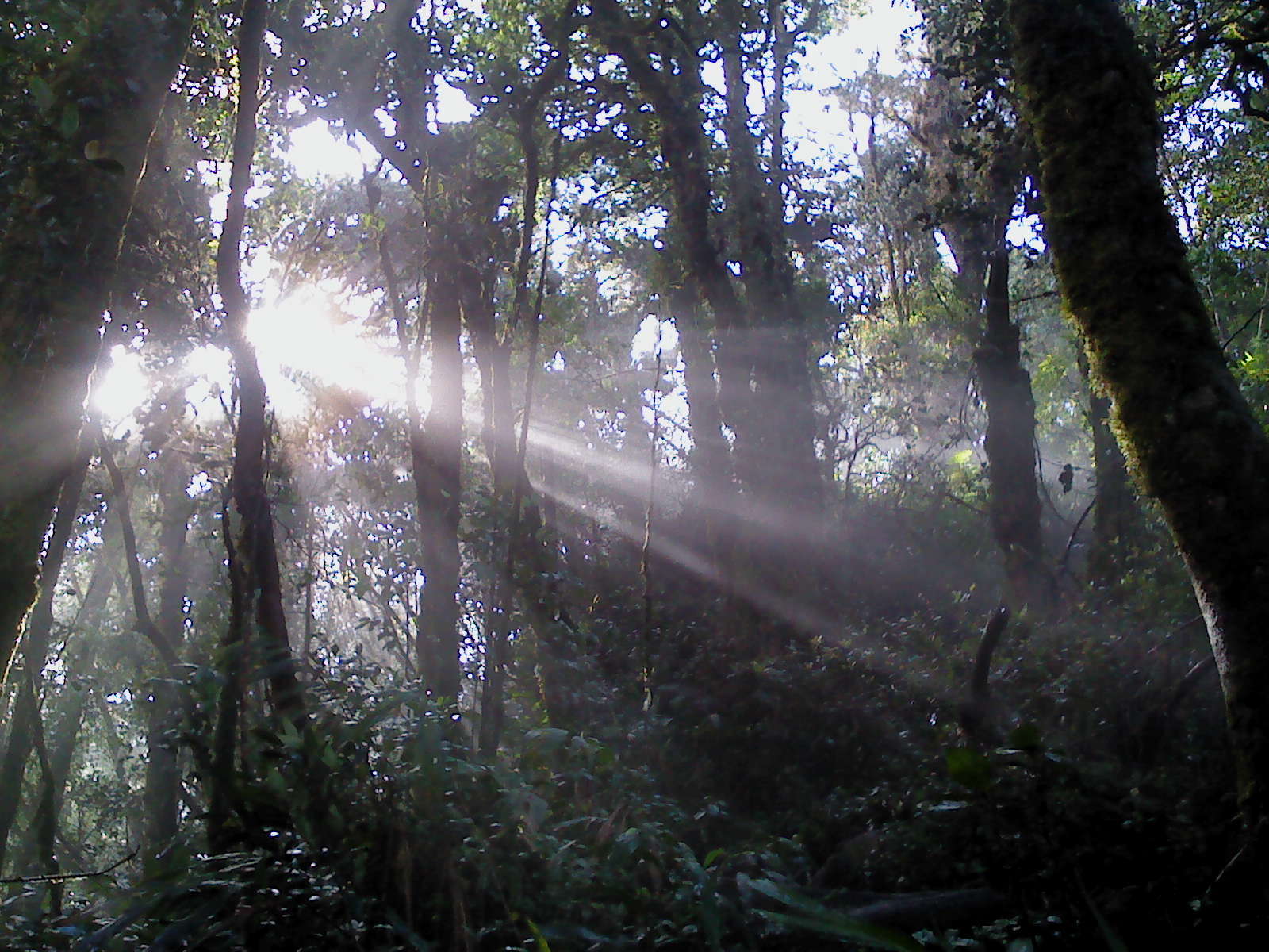 CAMERON SERVICE 15 Enjoy Sunrise Tour Package at the Highest Point