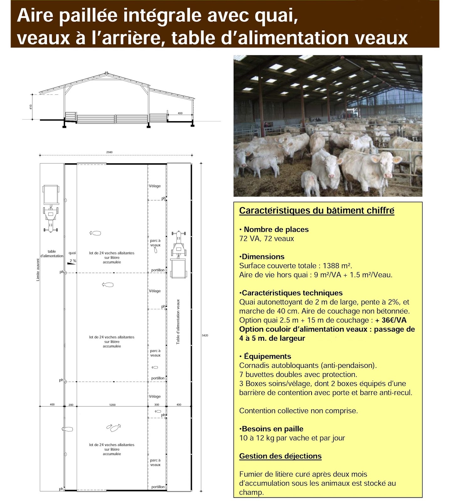 Les bâtiments pour les vaches allaitantes Agriculture Moderne