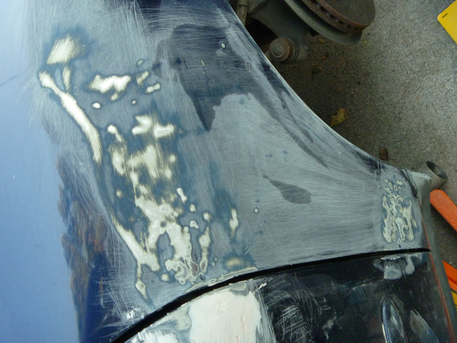 Growing tall in our little Corner Fixing my dented fender