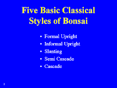 Five Basic Classical Styles of Bonsai