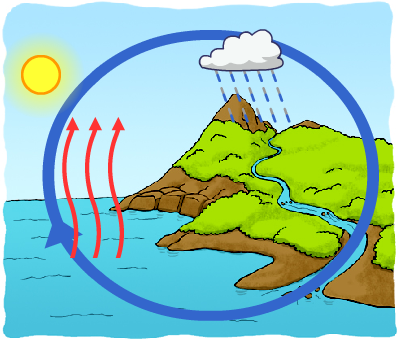 El Ciclo del Agua: Información sobre el ciclo del agua