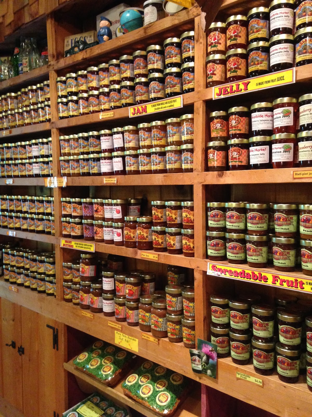 Nomadic Newfies Natural Wonders and Spotted Wonders