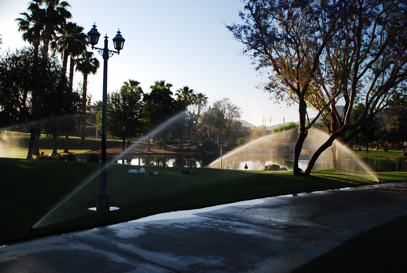 Deserts and Beyond Sprinklers in the park