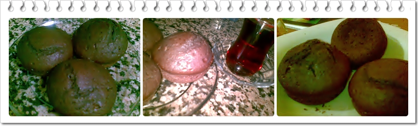 ! Ipekböcegi Şubat 2012