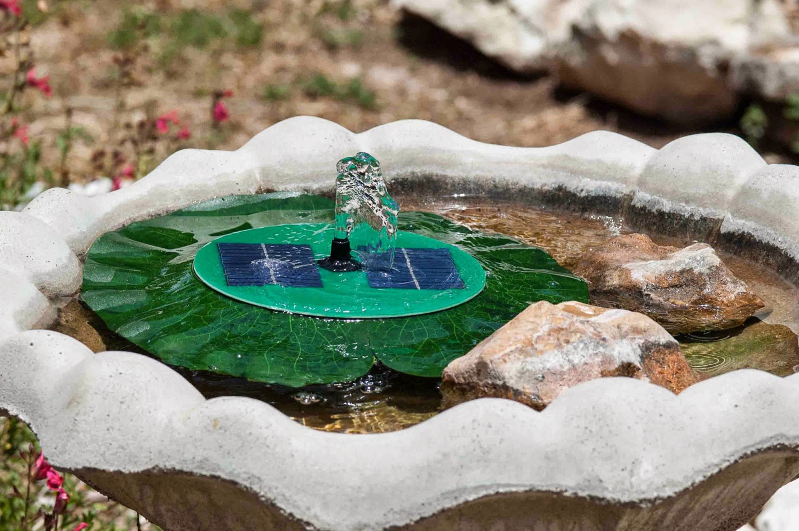 Window on a Texas Wildscape More on bird baths