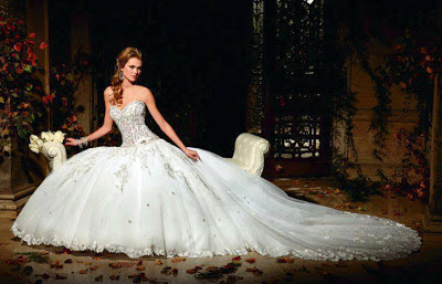 أجمل فستان زفاف فى العالم لعام 2012 486287_540803942615704_1670474456_n+%281%29
