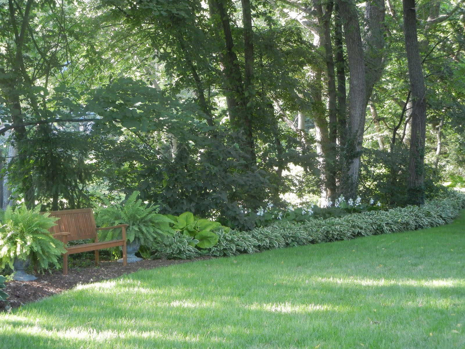 The French Tangerine kelly's garden