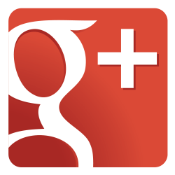 Google Plus +1