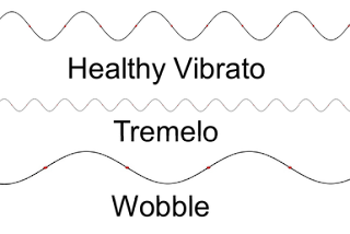 vibrato saudável canto celeste
