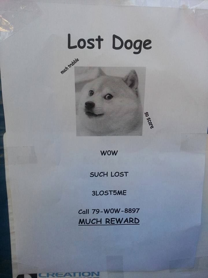 Lost doge, much trubble, so score wow such lost 3lost5me call 79-wow