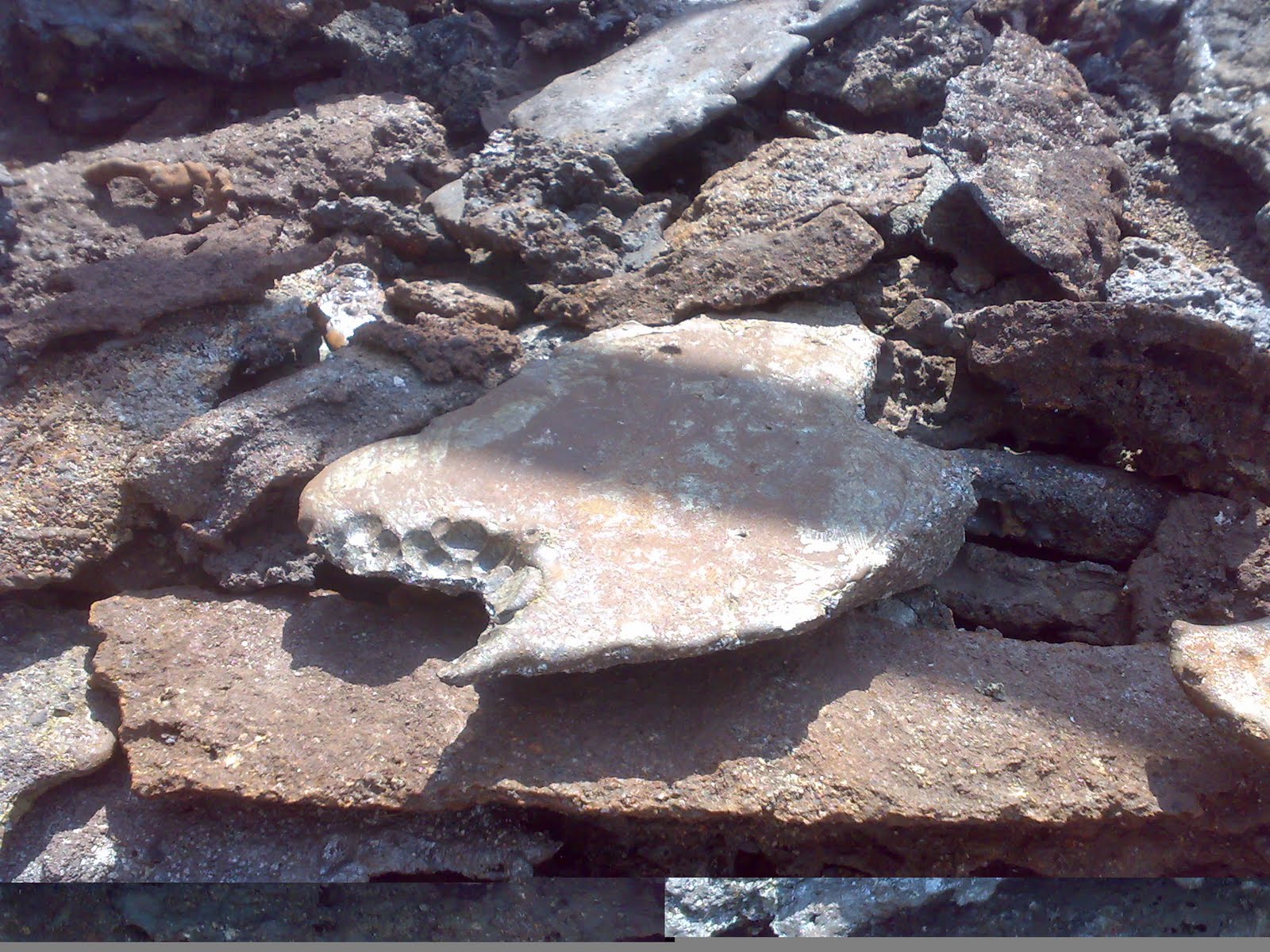 CAST IRON SCRAP Pig Iron Foundry Grade