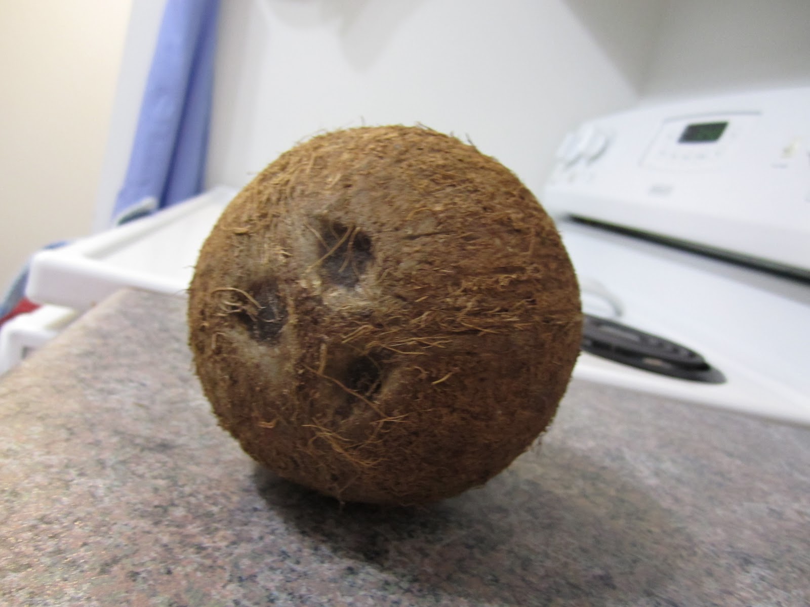 Busy Fingers Ode to coconut