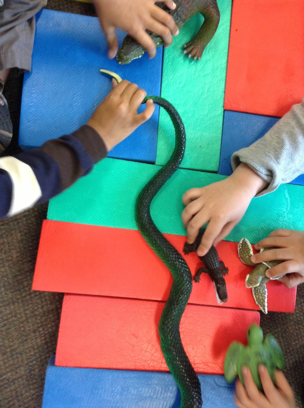 St. Anne Kindergarten Blog Reptile Discoveries