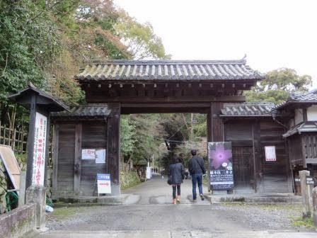 流浪の画家 の隆くん 三井寺 に桜の風景を求めて 五 国宝 光浄院客殿