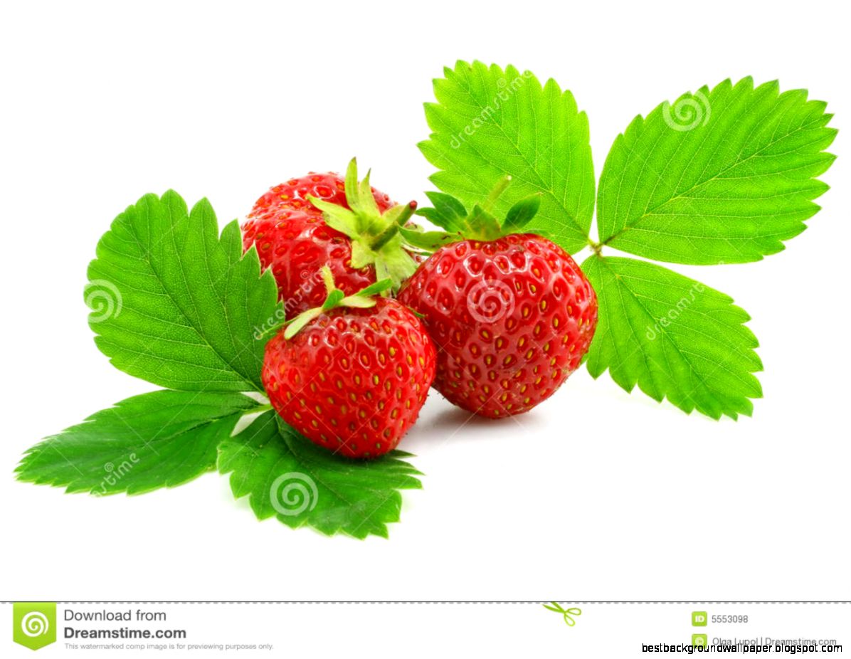 Red Strawberry Fruits With Green Leafs Isolated Royalty Free Stock Red Strawberry Fruits With Green Leafs Isolated Royalty Free Stock