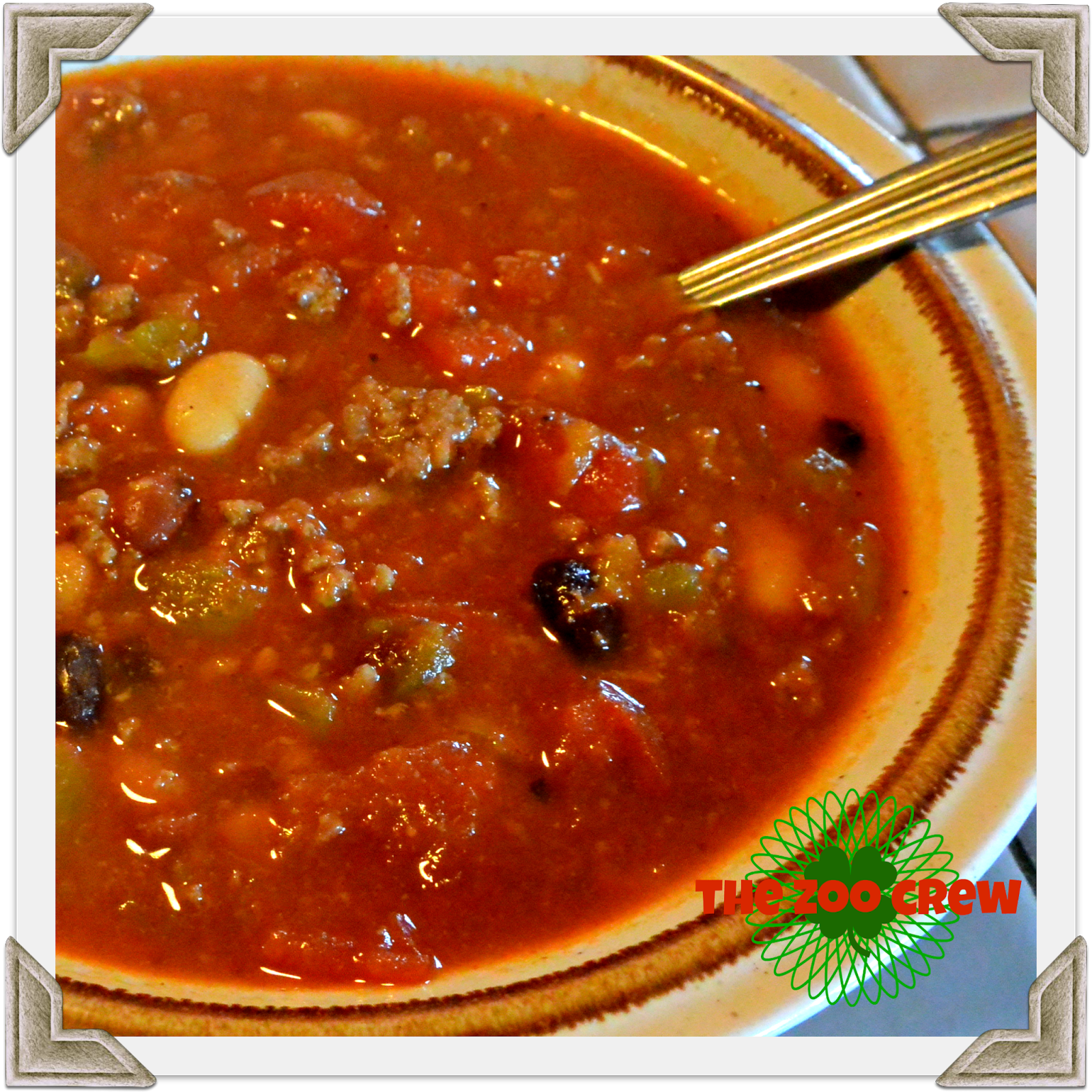 Homeschooling in Park with The Zoo Crew The Best Chili Yet!