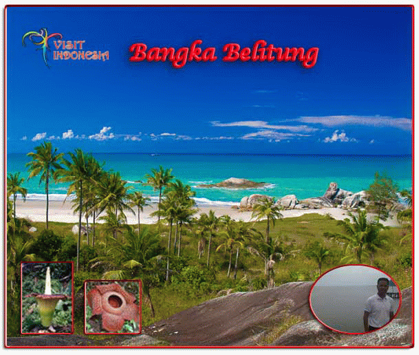 Translate Bangka Belitung