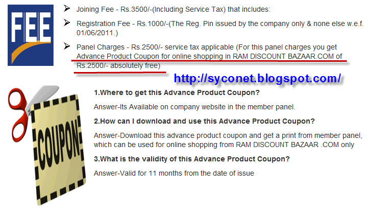 ram survey business plan ram survey business plan