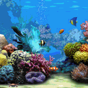 Résultat de recherche d'images pour "gifs animados  de naturaleza"