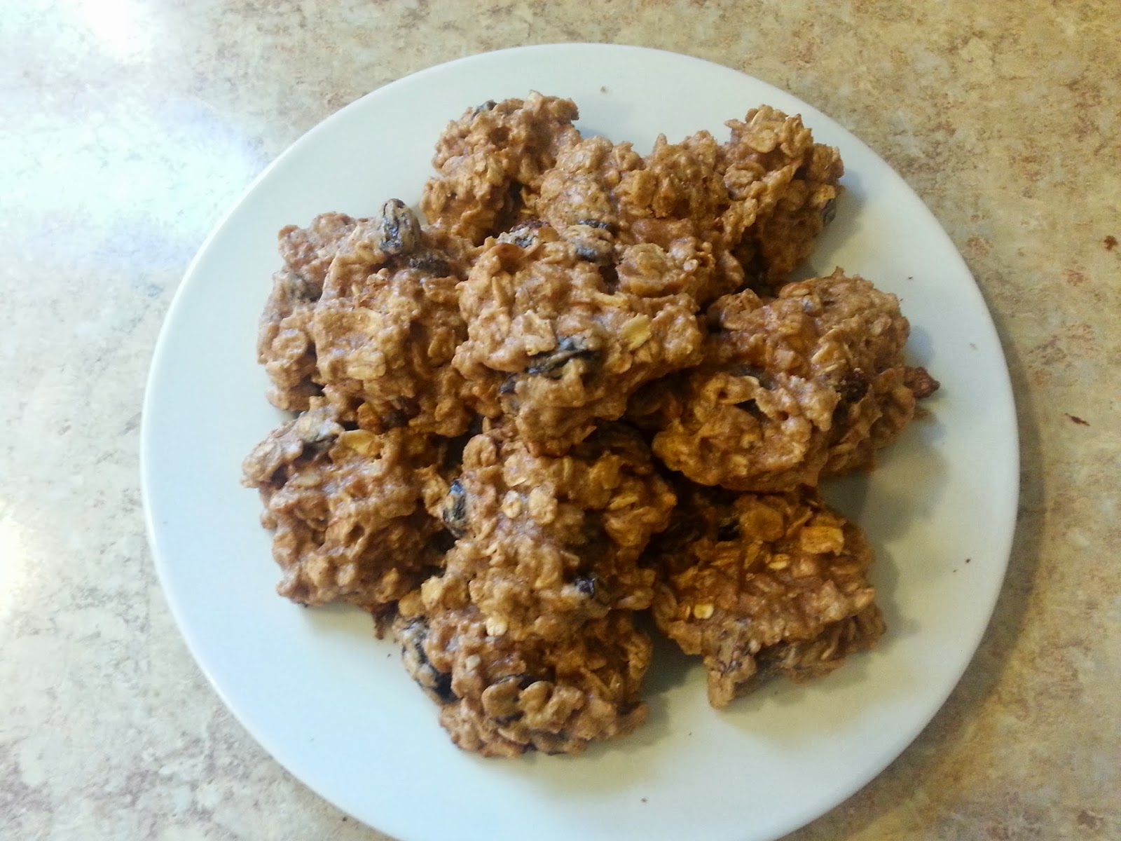 Journey Toward Simplicity Healthy Vegan Oatmeal Raisin Cookies