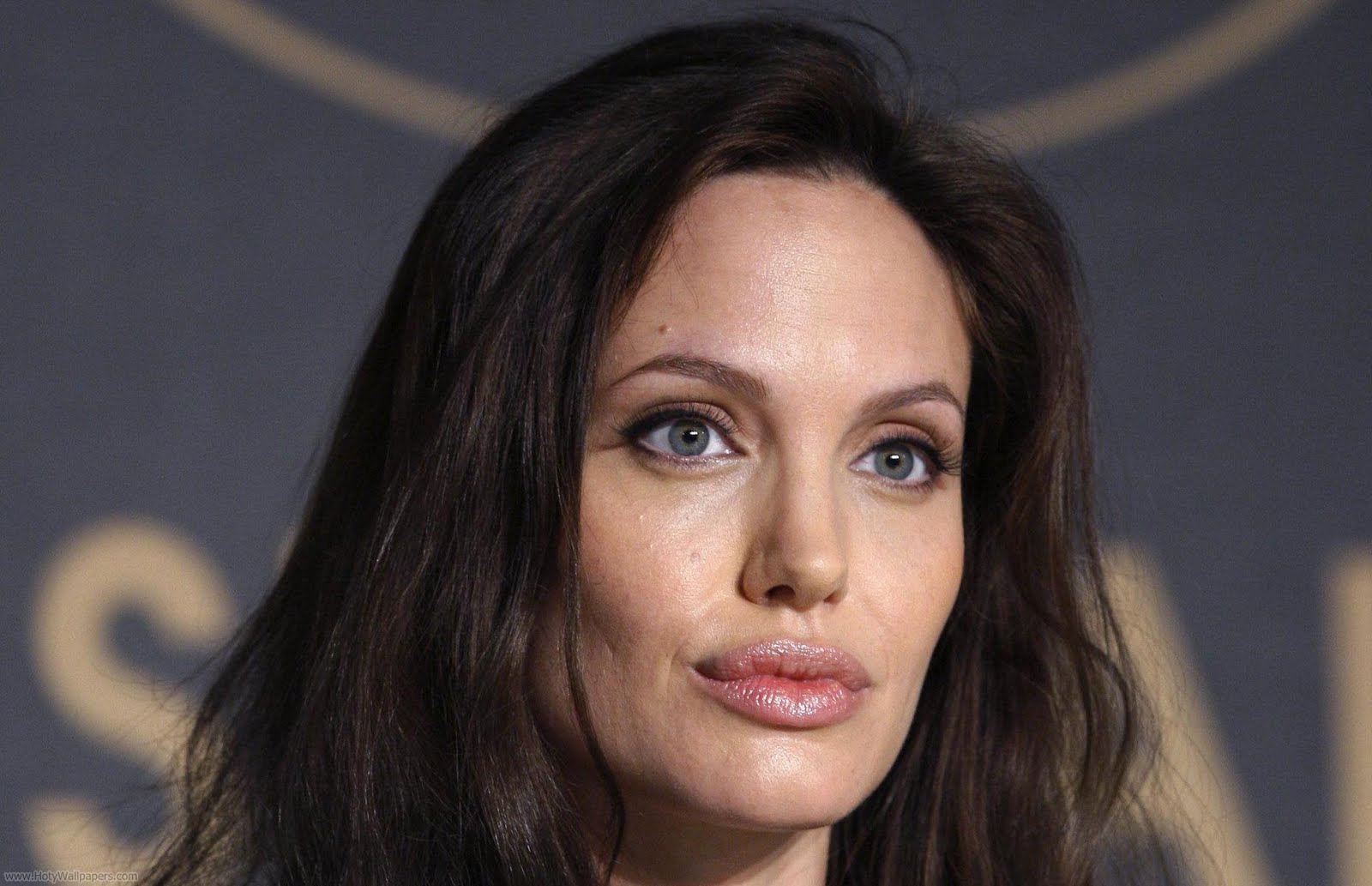 actress american angelina jolie booty me now angelina jolie american actress wallpapers actress american angelina jolie booty me now angelina jolie american actress wallpapers